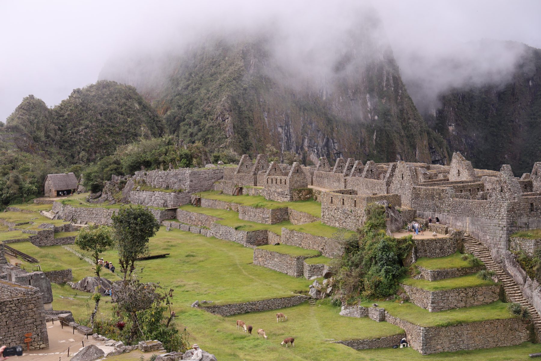 Machu Picchu