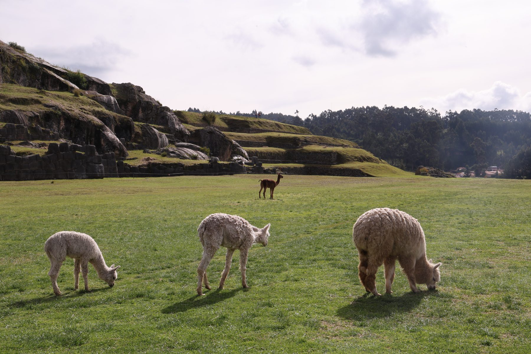 Sacsayhuamán